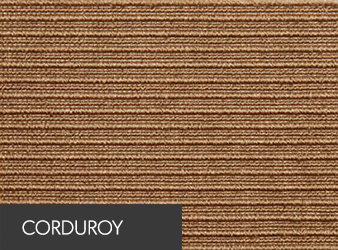 Corduroy