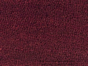 Red Door Mat