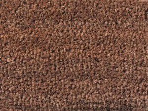 Natural Door Mat