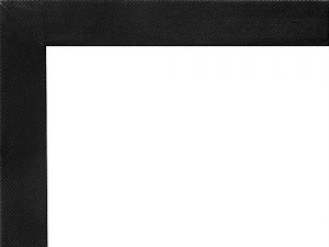 European Black Cotton
