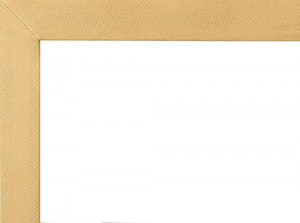 European Honey Cotton