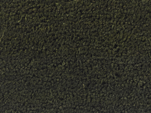 Forest Green Door Mat