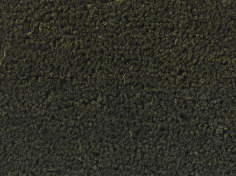 Forest Green Door Mat