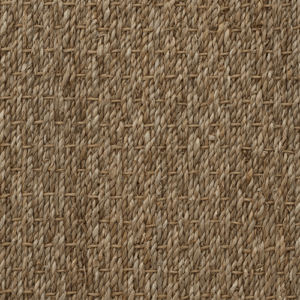 Seagrass