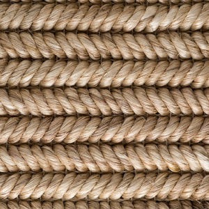 Manzanilla Wheat Abaca