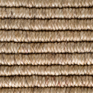 Rabi Wheat Abaca